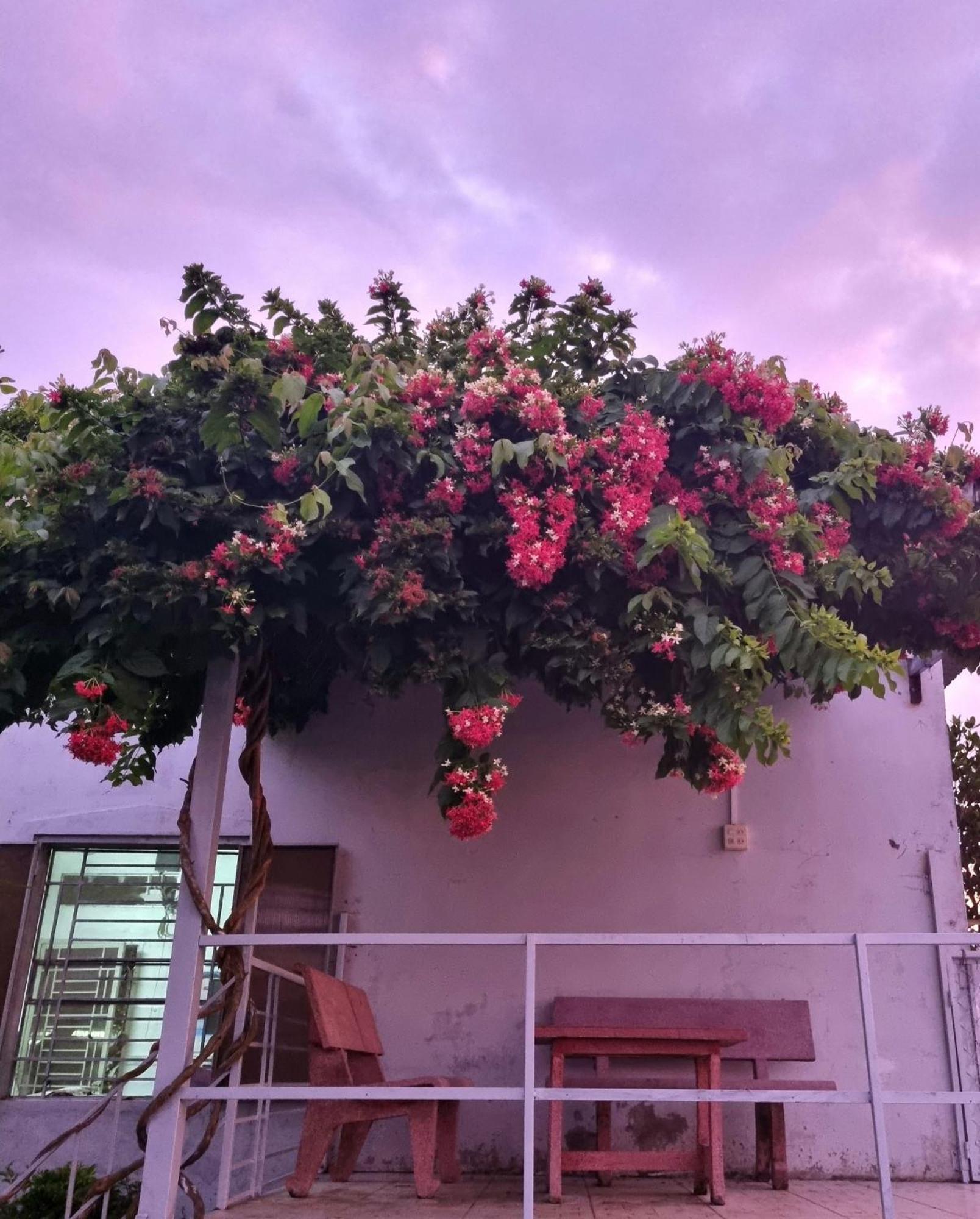 Tran Phu Riverside House Cần Thơ Zewnętrze zdjęcie